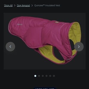 Ruffwear Quinzee Puffer Dog Jacket